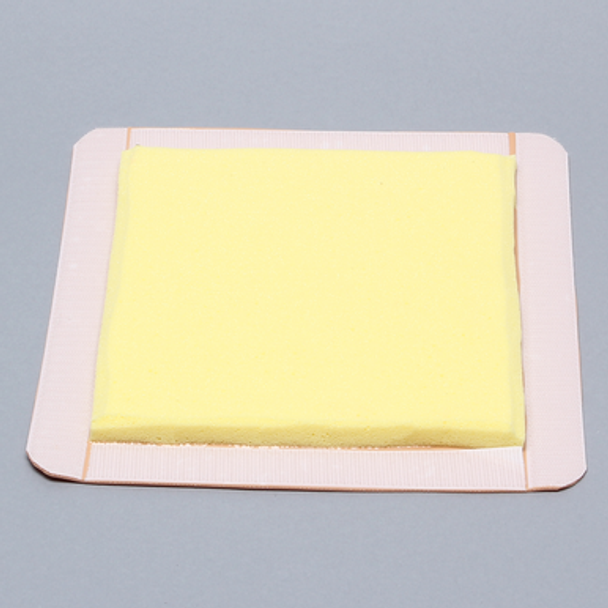 Hip, Replaceable Skin Cover