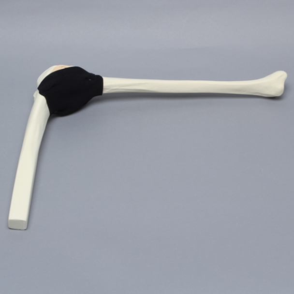 Knee Insert, Encapsulated ACL, Medium
