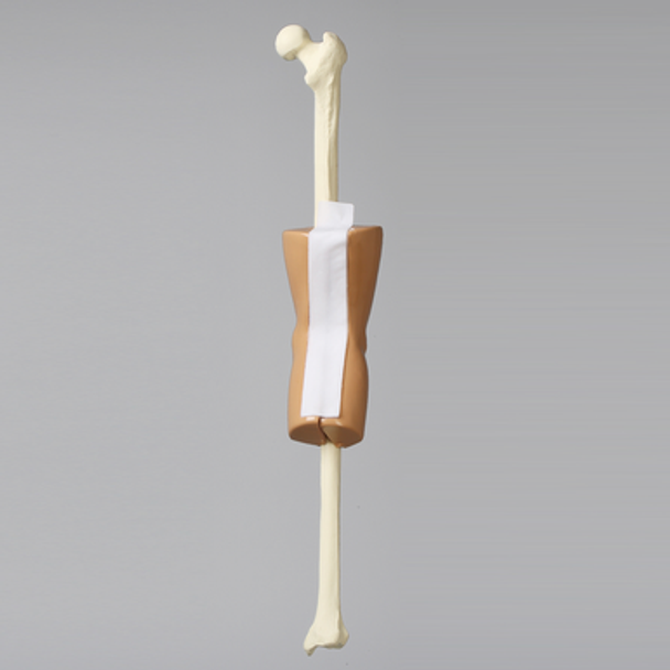 Knee, ACL Trainer Knee, ACL Trainer