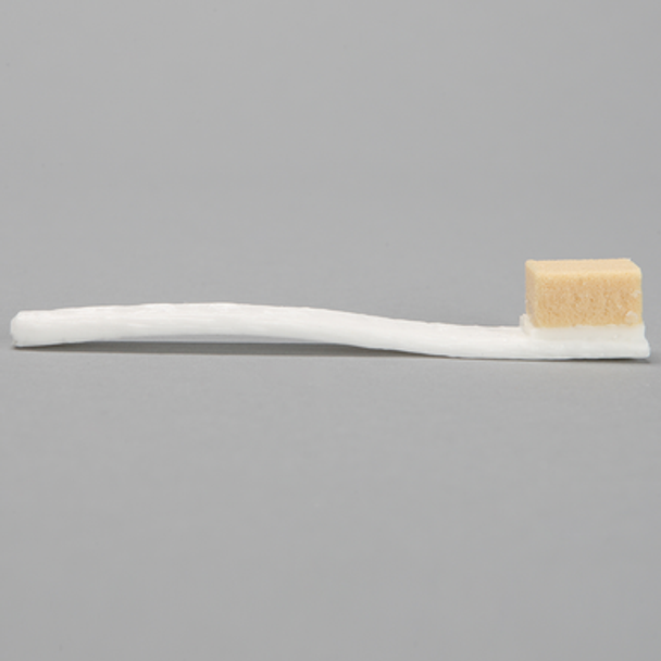 Bone Graft, Single Ended