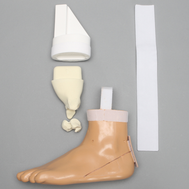 Arthroscopy EPF Foot and Ankle Trainer