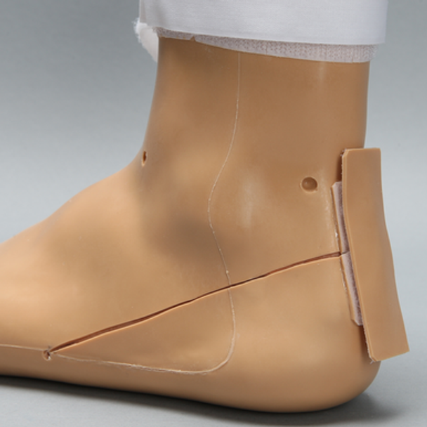 Arthroscopy EPF Foot and Ankle Trainer
