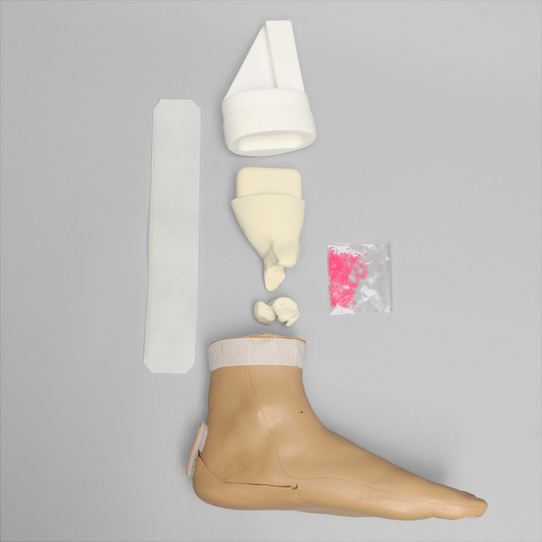 Arthroscopy EPF Foot and Ankle Trainer