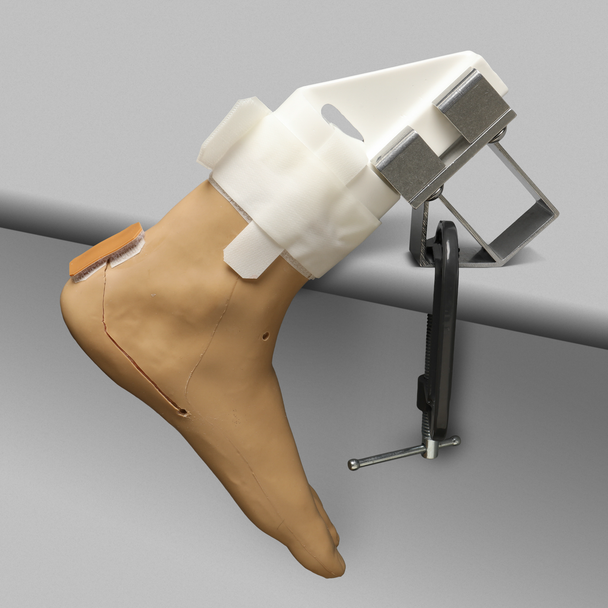 Arthroscopy EPF Foot and Ankle Trainer