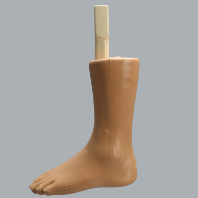 Able Advanced Arthroscopy Ankle