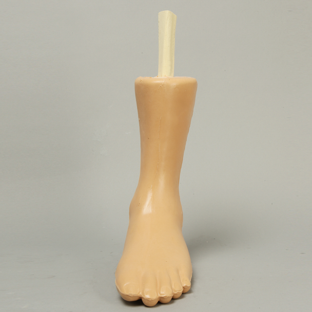 Archie Advanced Arthroscopy Ankle