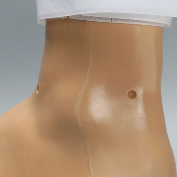 Arthroscopy Foot and Ankle Trainer Arthroscopy Foot and Ankle Trainer