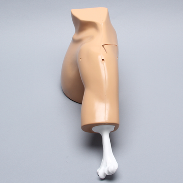 Arthroscopy Shoulder, Basic Training