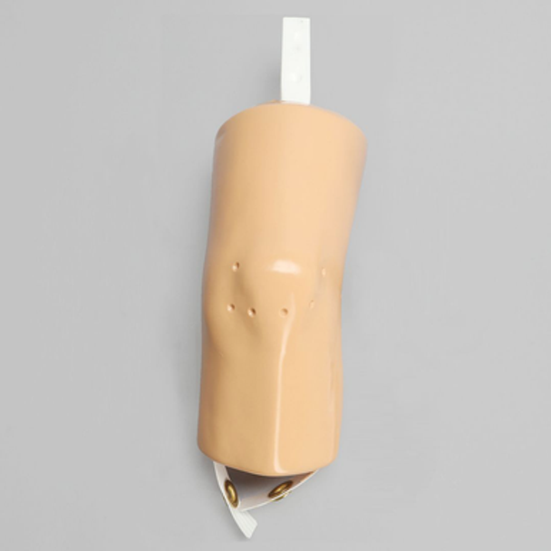 Knee, Soft Tissue Replacement