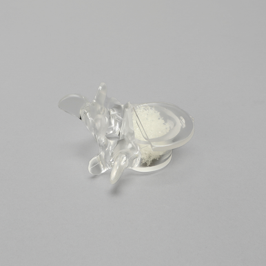 Vertebra, L5, With Replaceable Insert, 4.5mm Pedicle Entry Sites, Transparent Cortical