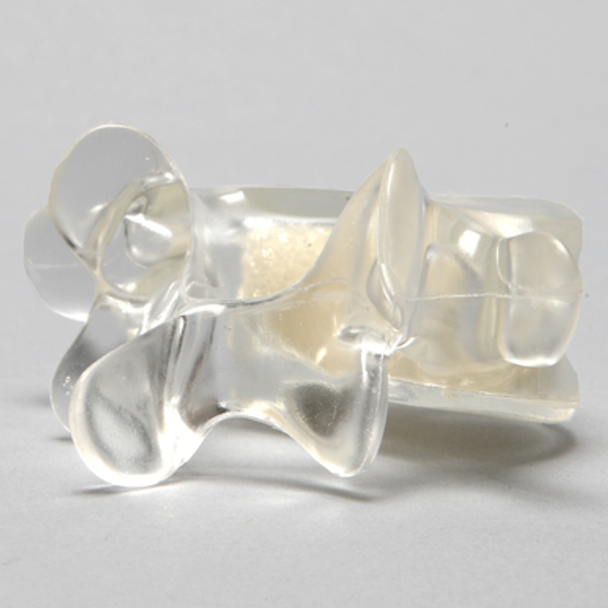 Vertebra L5 with Open Cell Cancellous, Solid Clear Plastic