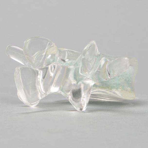 Vertebra L4 with Open Cell Cancellous, Solid Clear Plastic