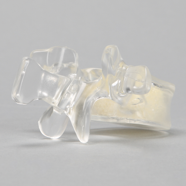 Vertebra L1 with Open Cell Cancellous, Solid Clear Plastic
