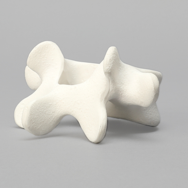 Vertebra, L5, Foam Cortical Shell, For Spinal Navigation