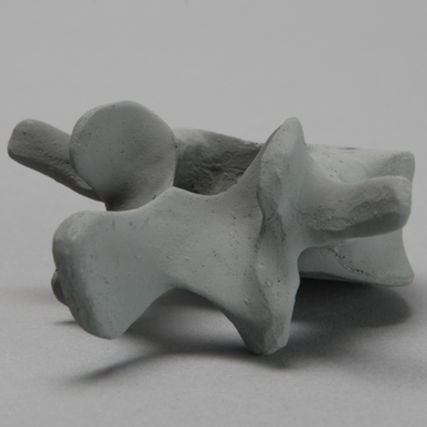 Vertebra, L4, Osteoporotic, Radiopaque