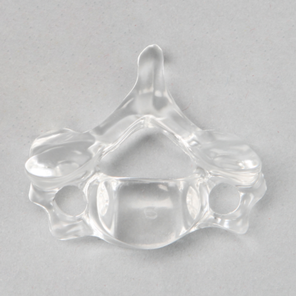 Vertebra C6, Solid Clear Plastic