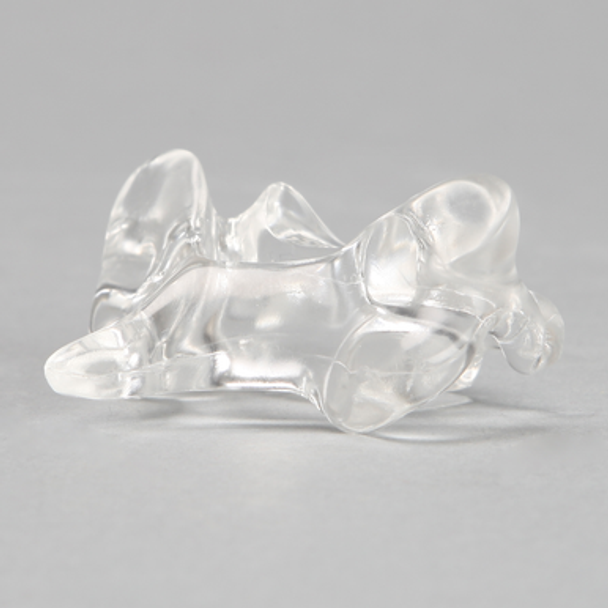 Vertebra C6, Solid Clear Plastic