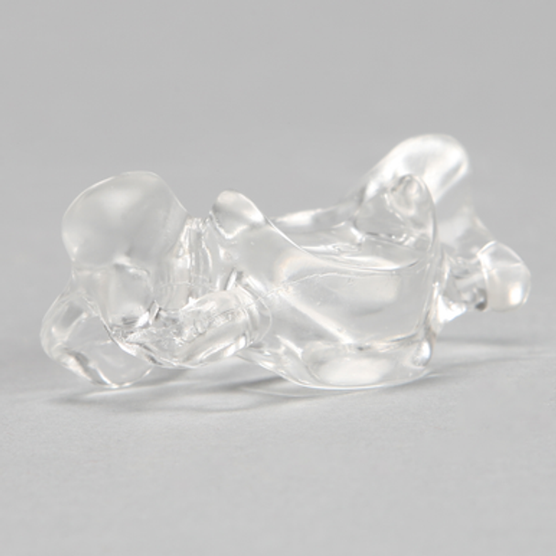 Vertebra C6, Solid Clear Plastic
