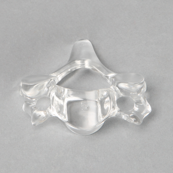 Vertebra C5, Solid Clear Plastic