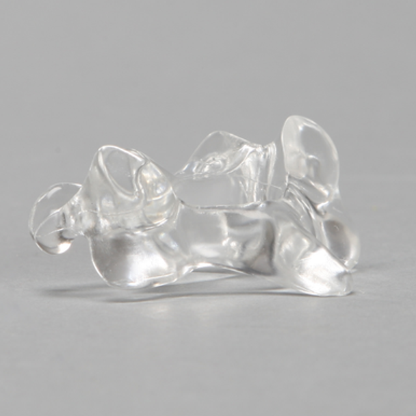 Vertebra C5, Solid Clear Plastic