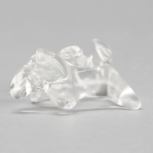 Vertebra C4, Solid Clear Plastic