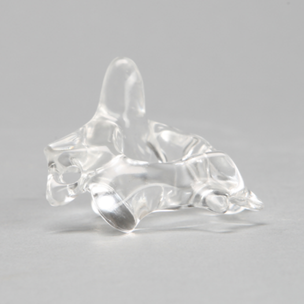 Vertebra C2, Solid Clear Plastic