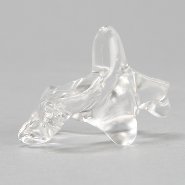 Vertebra C2, Solid Clear Plastic