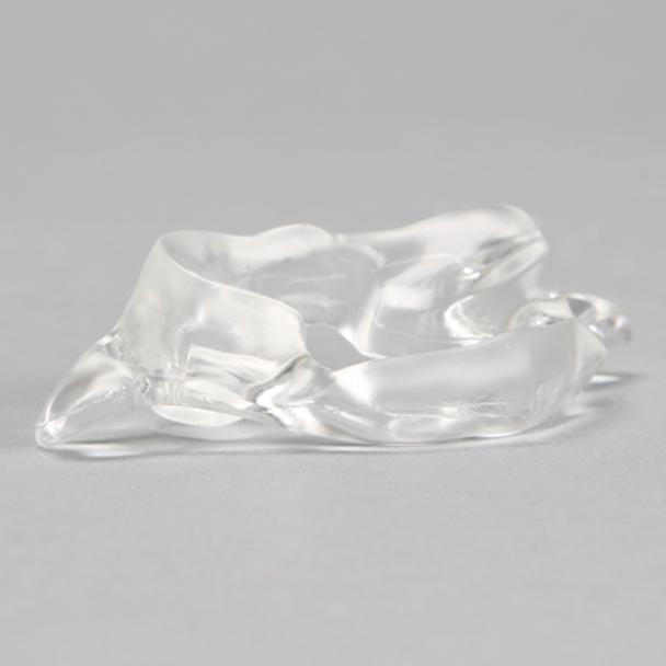Vertebra C1, Solid Clear Plastic