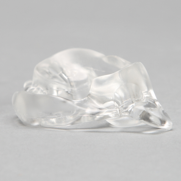 Vertebra C1, Solid Clear Plastic