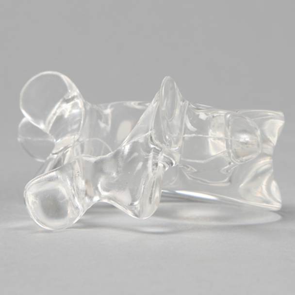 Vertebra L5, Solid Clear Plastic