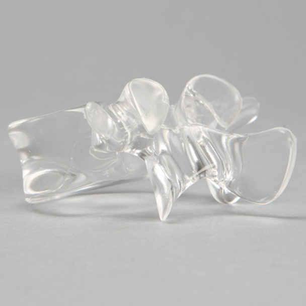 Vertebra L4, Solid Clear Plastic