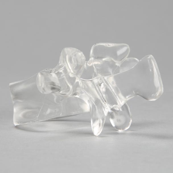 Vertebra L1, Solid Clear Plastic