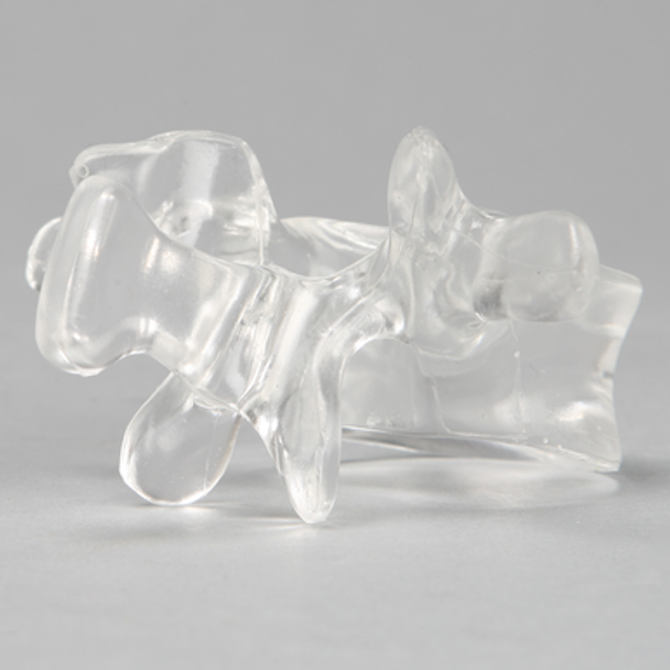 Vertebra L1, Solid Clear Plastic