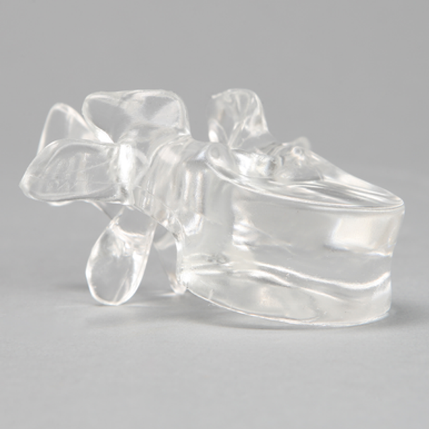 Vertebra L1, Solid Clear Plastic