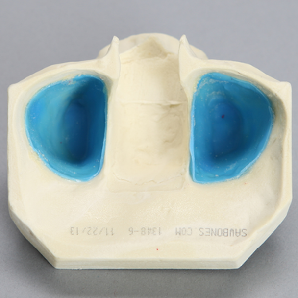 Maxilla with Mucosa
