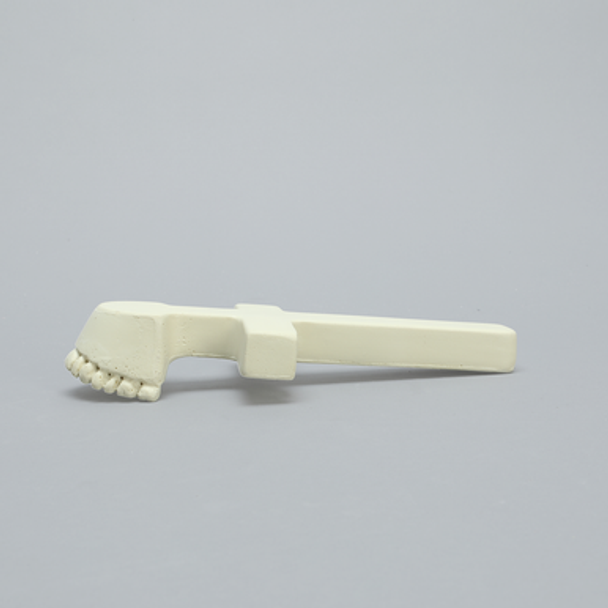 Maxilla with Drill Holes