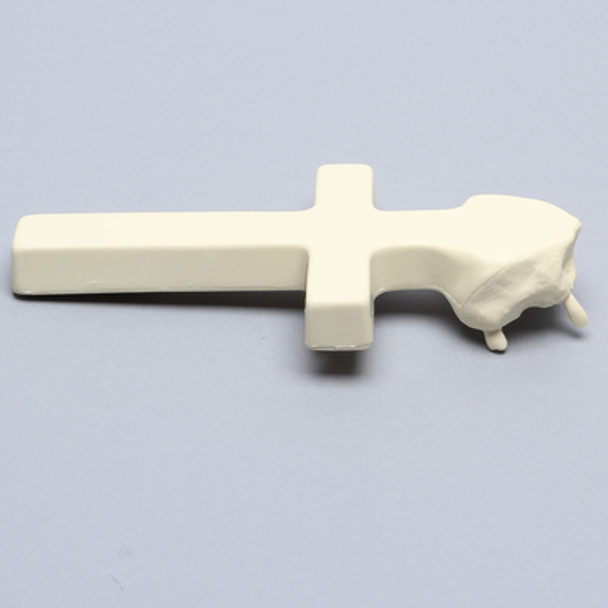 Maxilla, Partially Edentulous, With Vise Attachment