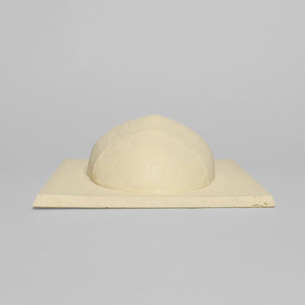 Skull Cap with Dura and Soft Tissue