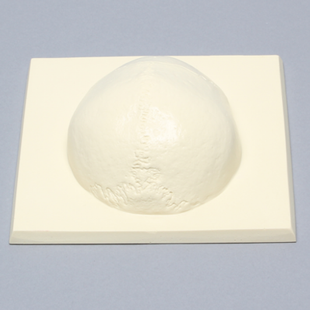 Skull Cap with Soft Tissue