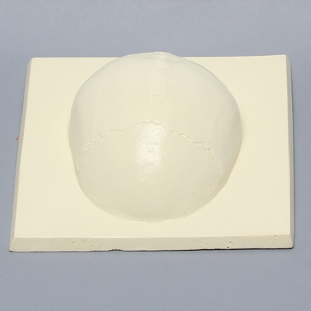 Skull Cap