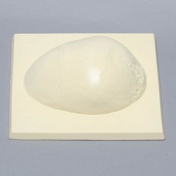 Skull Cap