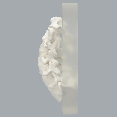 Spine, Cervical, Non-slip Block, Solid Foam