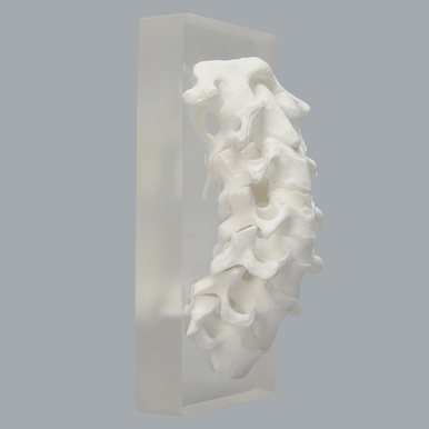 Spine, Cervical, Non-slip Block, Solid Foam