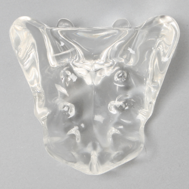 Sacrum, Solid Clear Plastic