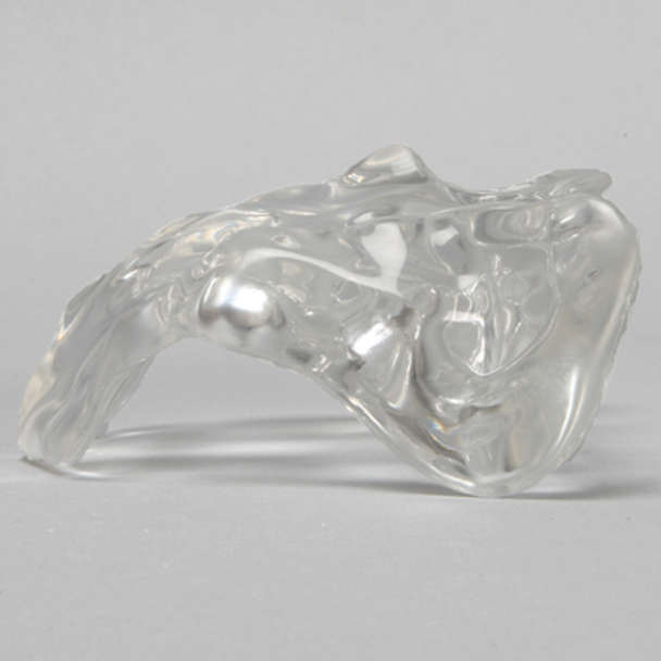 Sacrum, Solid Clear Plastic