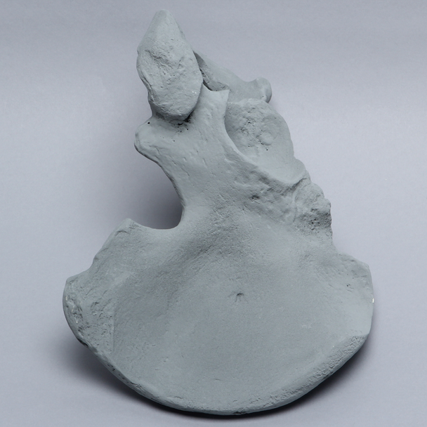 Hemi Pelvis, Radiopaque, Left