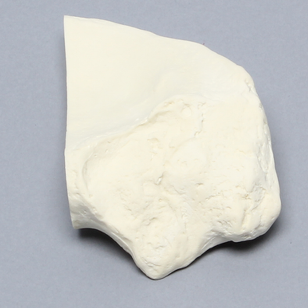 Iliac Crest, Male, Solid Foam, Right