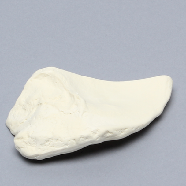 Iliac Crest, Male, Solid Foam, Right