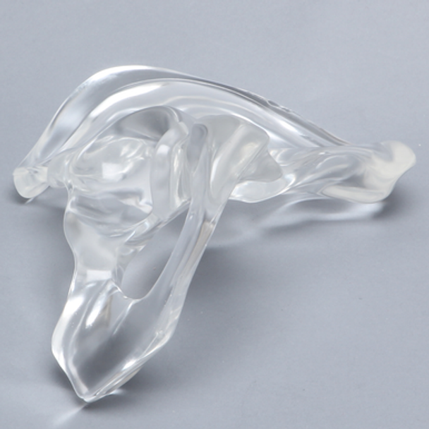 Hemi Pelvis, Solid Clear Plastic, Left