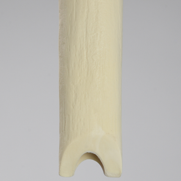 Femur with Osteotomy, Proximal, Foam Cortical Shell